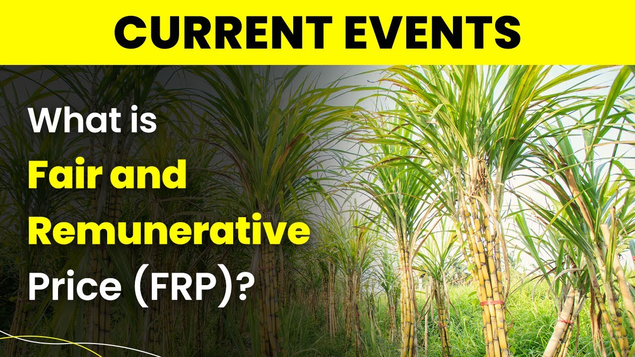 What Is Fair and Remunerative Price (FRP)? | Sugarcane Pricing in India | 2024-25