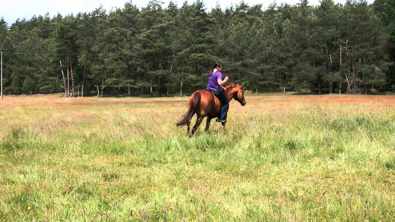 Natascha Spegt Horsemanship