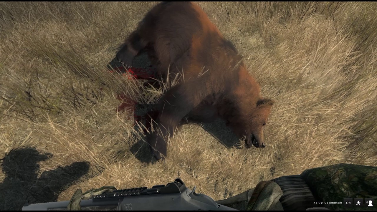 theHunter: Timbergold Trails Grizzly Charge