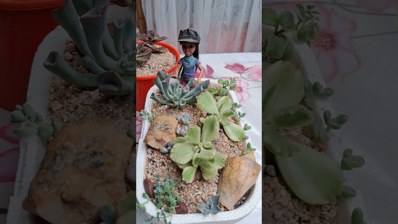 9 de febrero de 2026