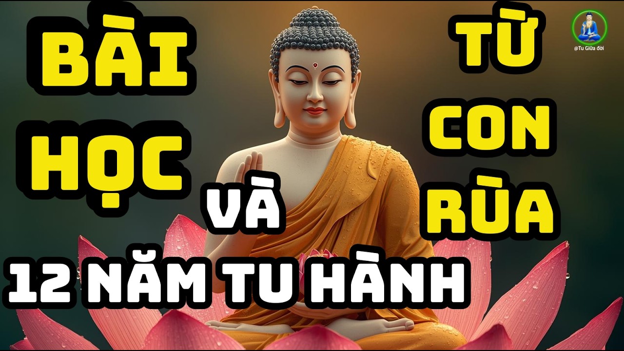BÀI HỌC TỪ CON RÙA: 12 NĂM TU HÀNH KHÔNG BẰNG MỘT KHOẢNH KHẮC THỨC TỈNH.