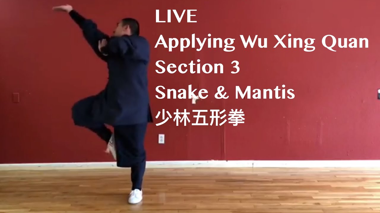 Applying Wu Xing Quan | LIVE | Sections 3 Snake & Mantis