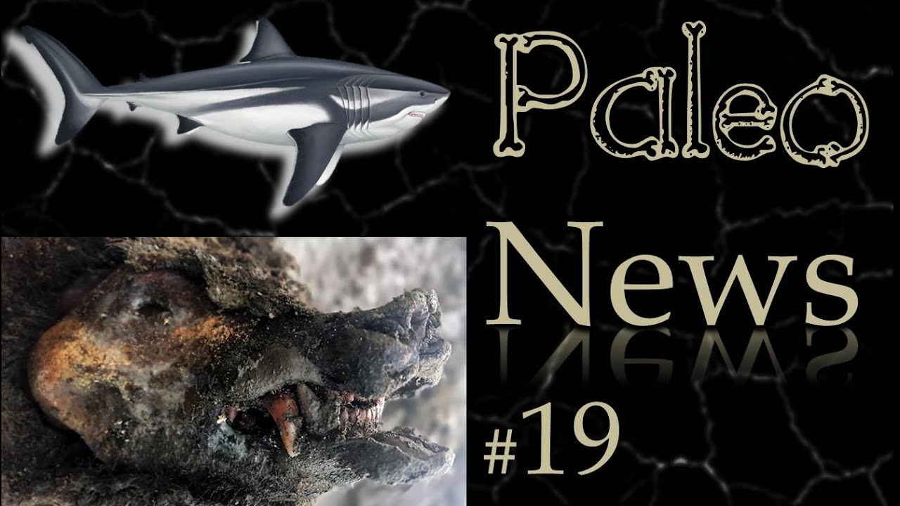 Ours des cavernes, Coelacanthe, Megalodon, Archaoepteryx et ptérosaures à plumes
