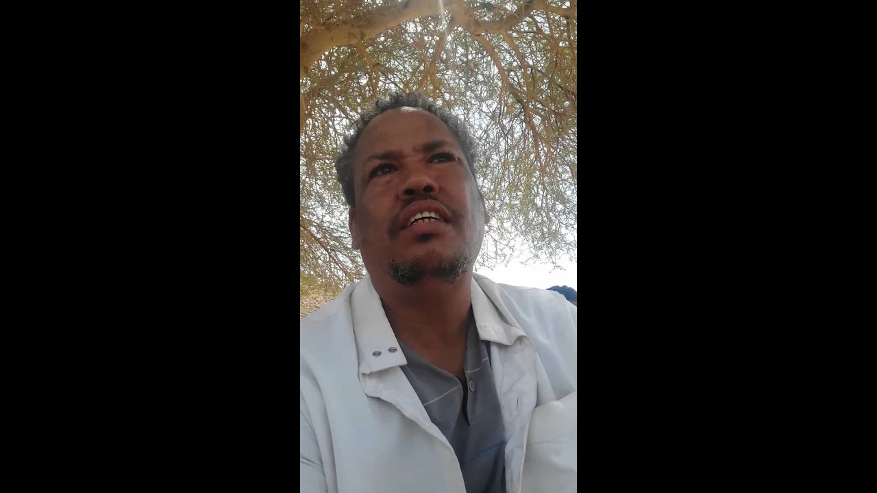 ١٥ نوفمبر، ٢٠١٥