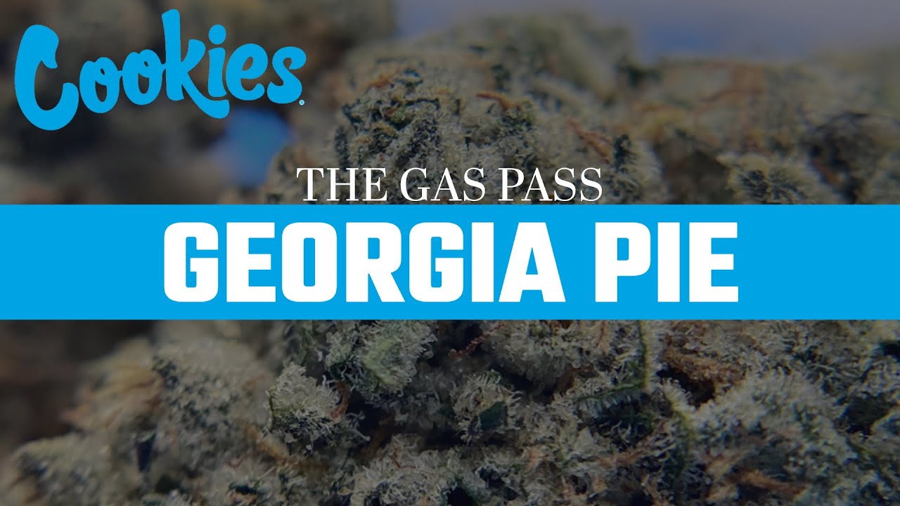 Cookies - Georgia Pie Strain Review