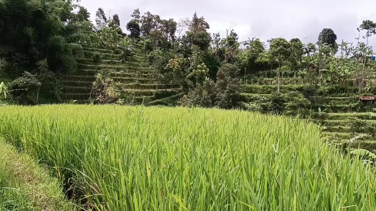 Begitu indah ya Allah🤲
