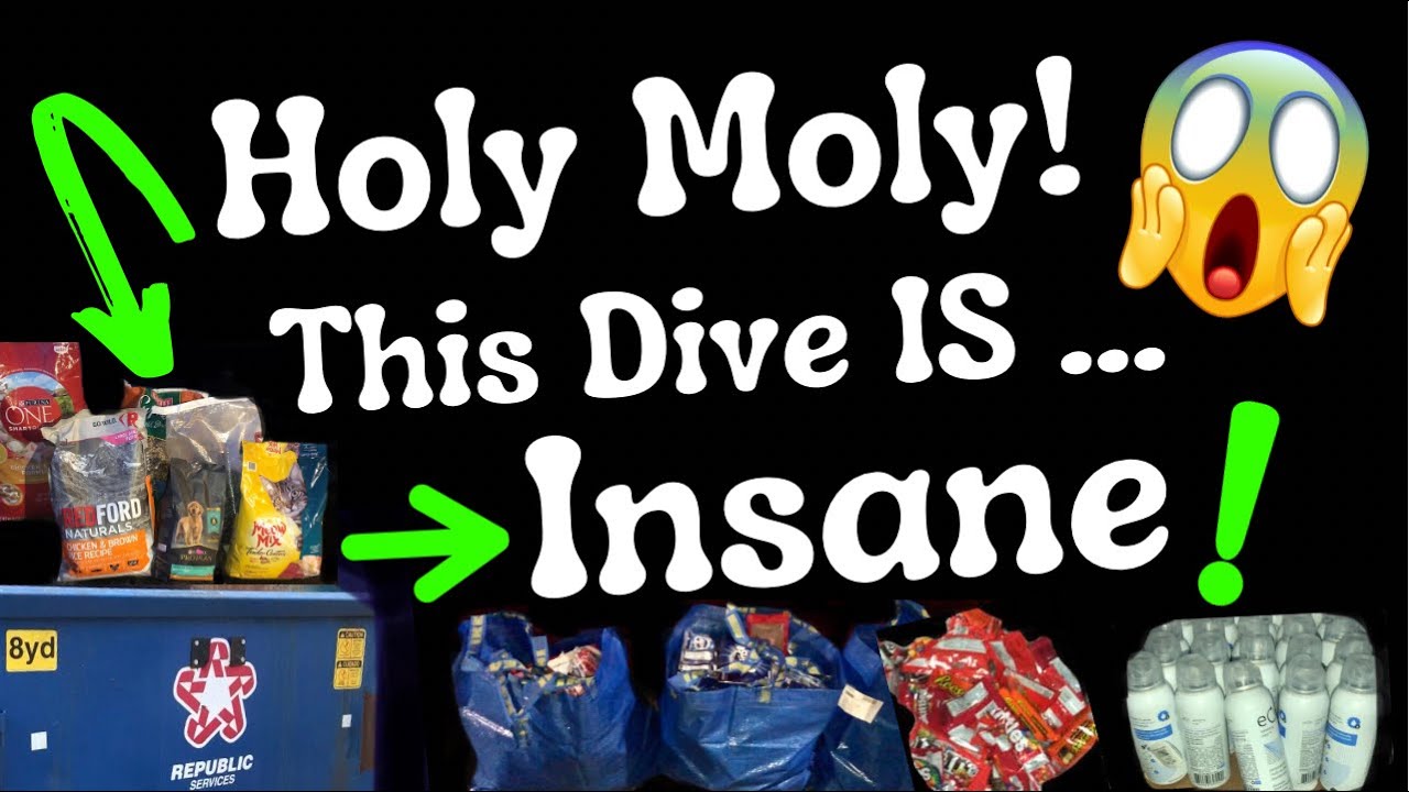 DUMPSTER DIVING - I Found A Samsung Flatscreen TV! & CASES Of Wasted Food, Candy & Gum! & Pet Score!