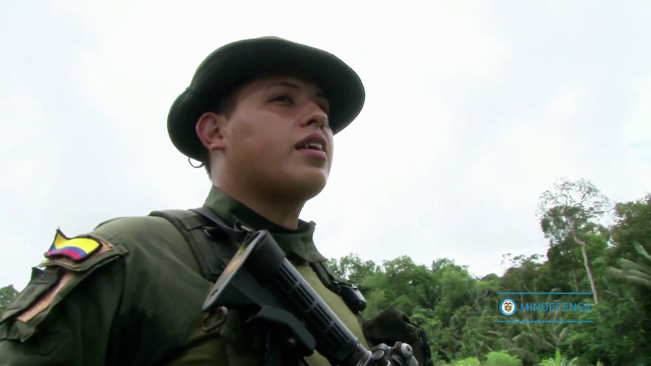 Erradicación de cultivos ilícitos en Tumaco, Nariño