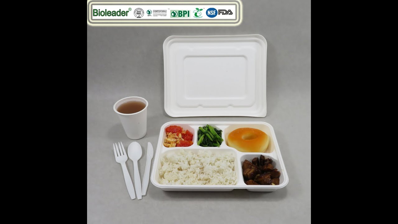 Eco Friendly 5 Compartment Tray with Lid Disposable for Meal Lunch Food