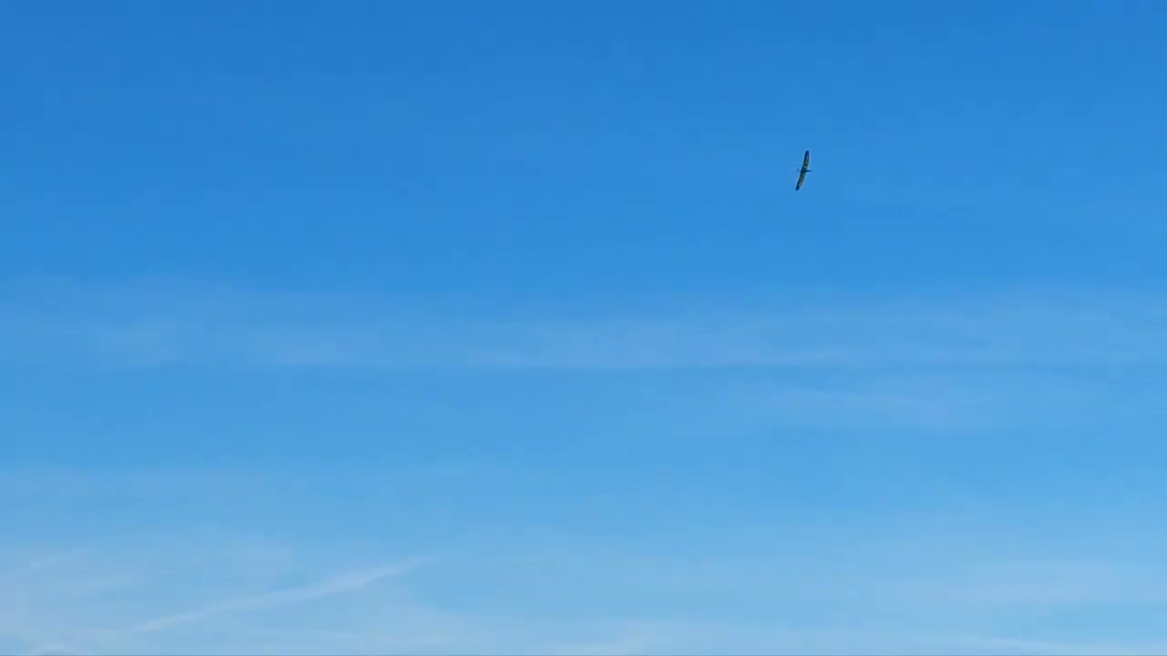 Sommerwind from Robert Schweissgut 8-2-2023