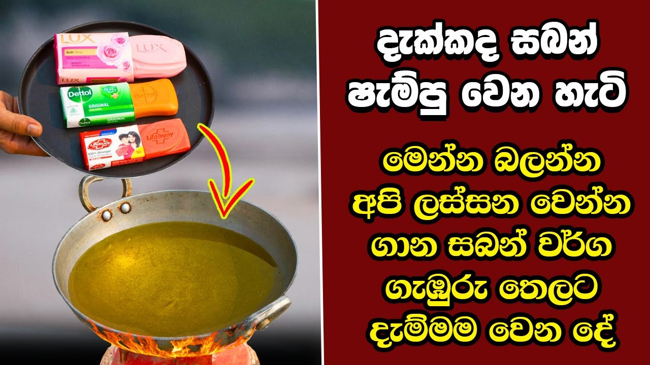 ඔබ මේවා දකින්නේ ජිවිතේ පළමු වතාවට EP:311