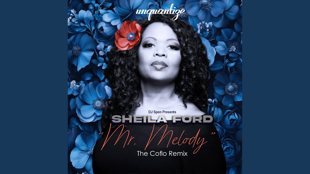 Mr. Melody (Coflo Remix)