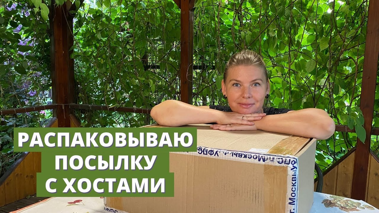 Только для любителей хост, распаковываем посылку с хостами