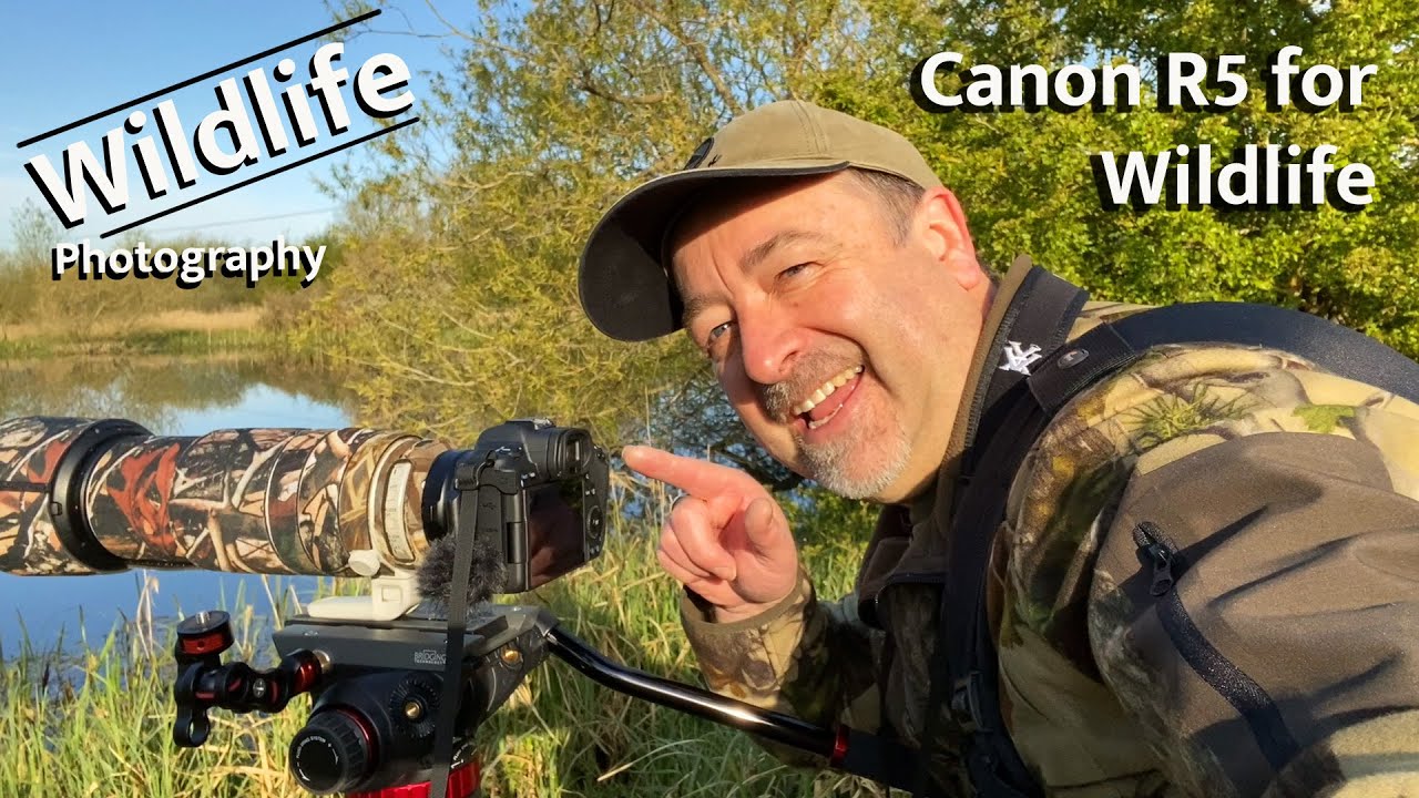 Canon R5 | How Good is it for UK Wildlife and Nature Photography?