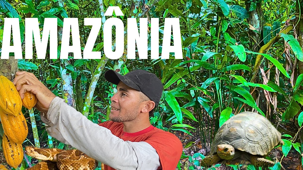 🏕️ ALTERNATIVA DE SOBREVIVÊNCIA.PRODUÇÃO DO MELHOR CHOCOLATE DO MUNDO.COBRA,JABUTI,ANIMAIS SELVAGENS