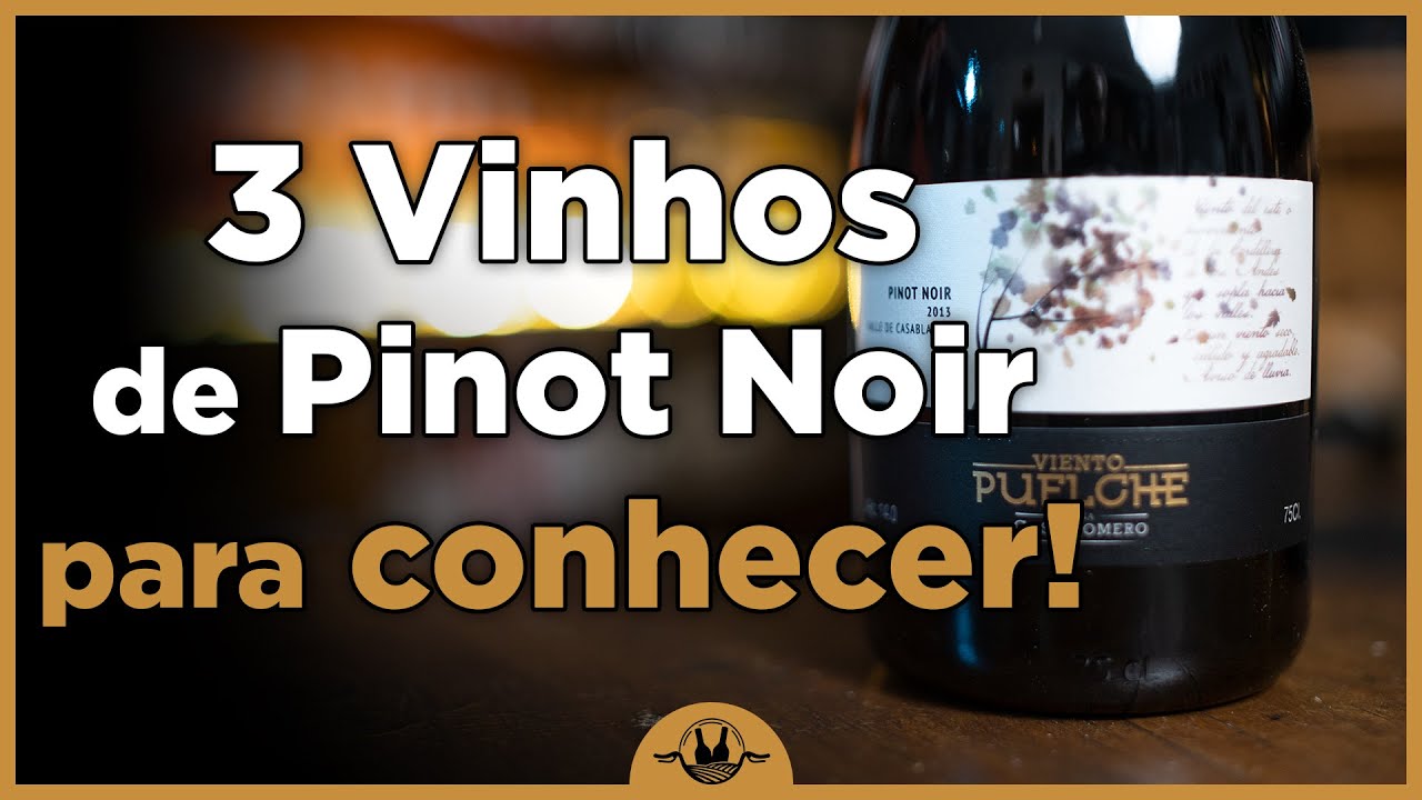 3 VINHOS PINOT NOIR que você precisa conhecer!