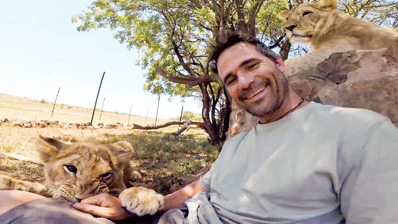Poor George & His Cataract Surgery!  | The Lion Whisperer