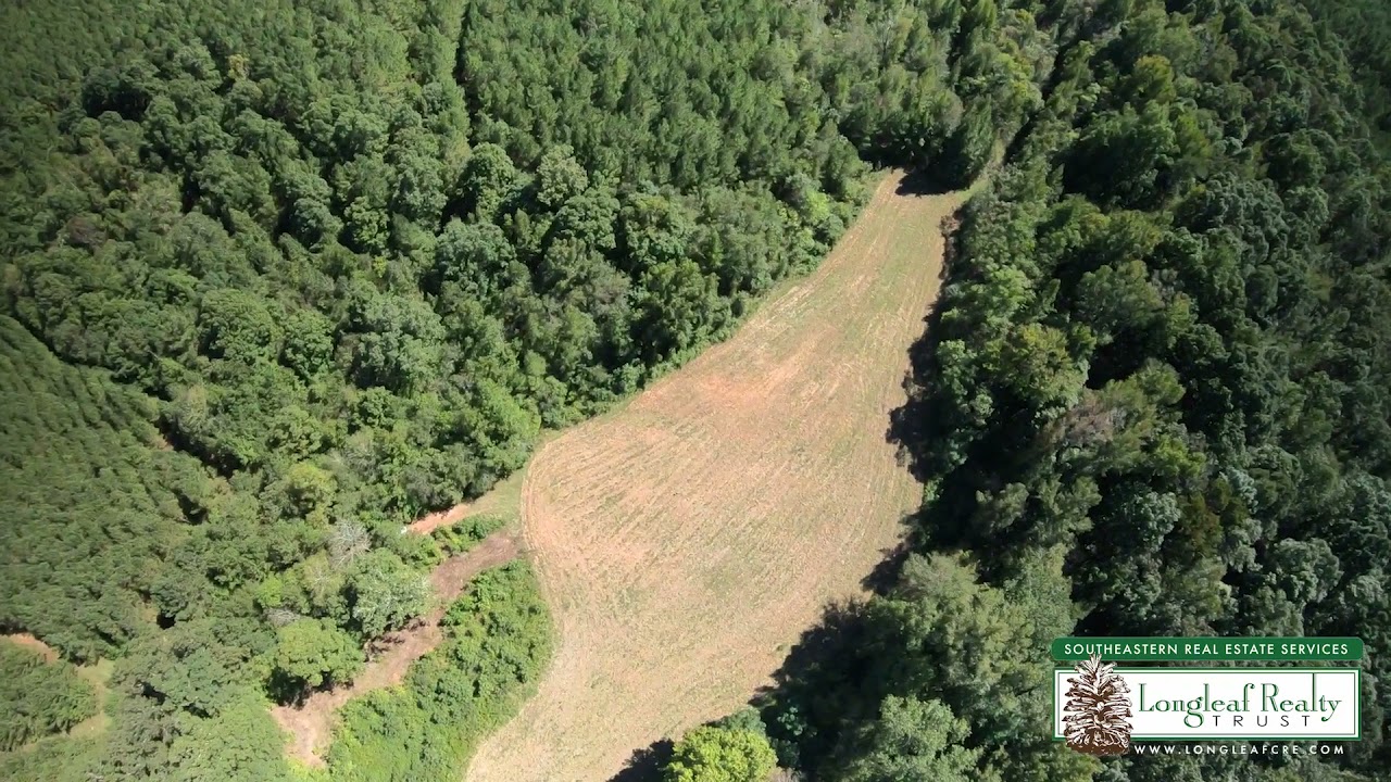 772+/- Acre Bricton Farm For Sale - Madison GA