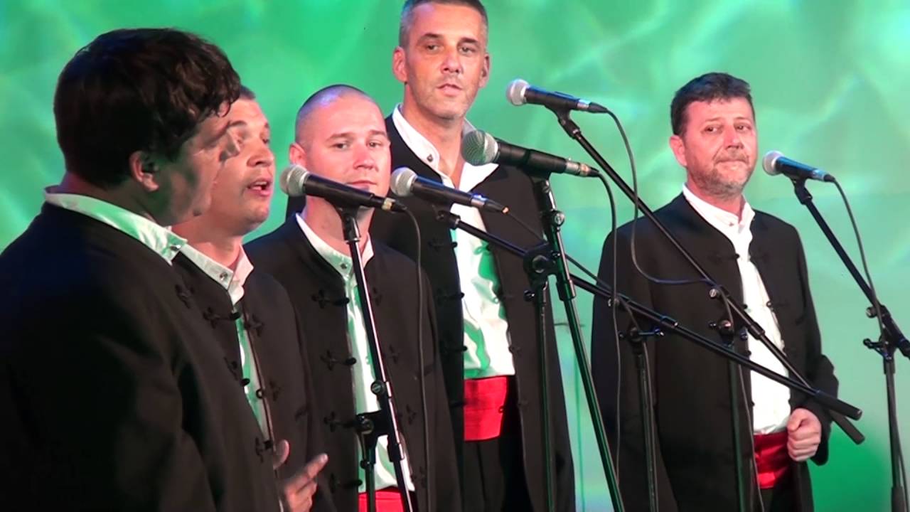 Festival klapa uz mandoline i gitare - 11. festival