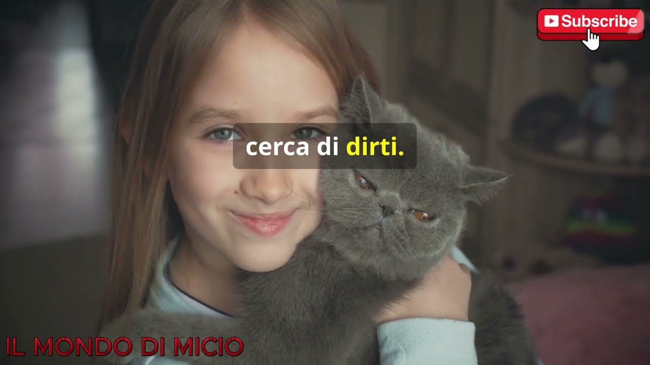 Come Capire il Linguaggio del Tuo Gatto