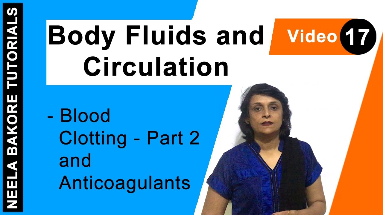 Body Fluids and Circulation | NEET | Blood Clotting - Part 2 and Anticoagulants | Neela Bakore