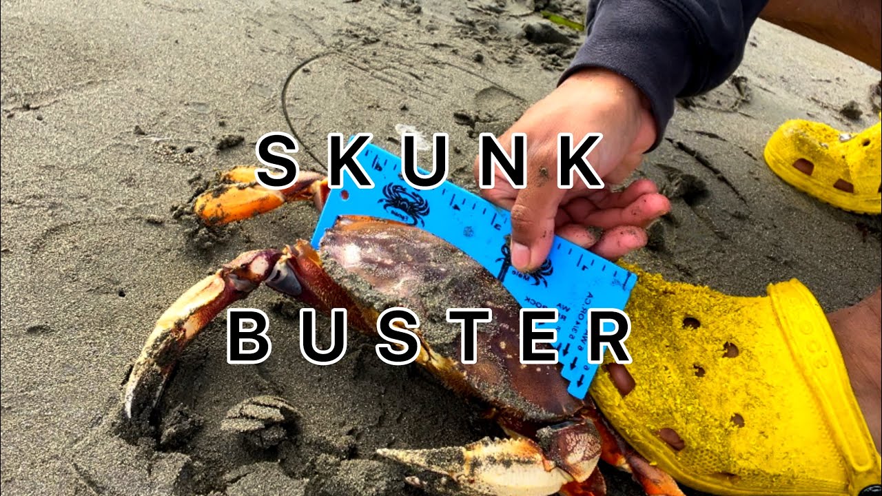 Chasing Crabs | California