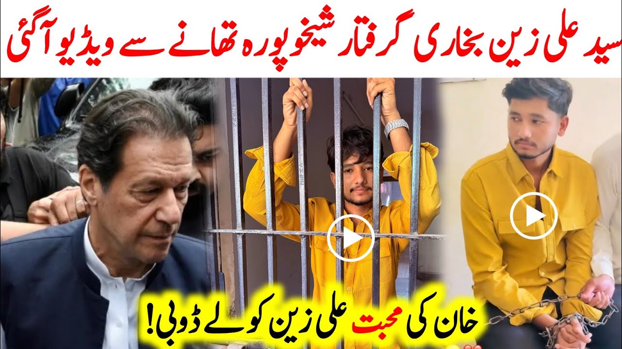 Syed Ali Zain Bukhari Arrested | TikToker Ali Zain Bukhari Arrest | Imran Khan Release Latest News