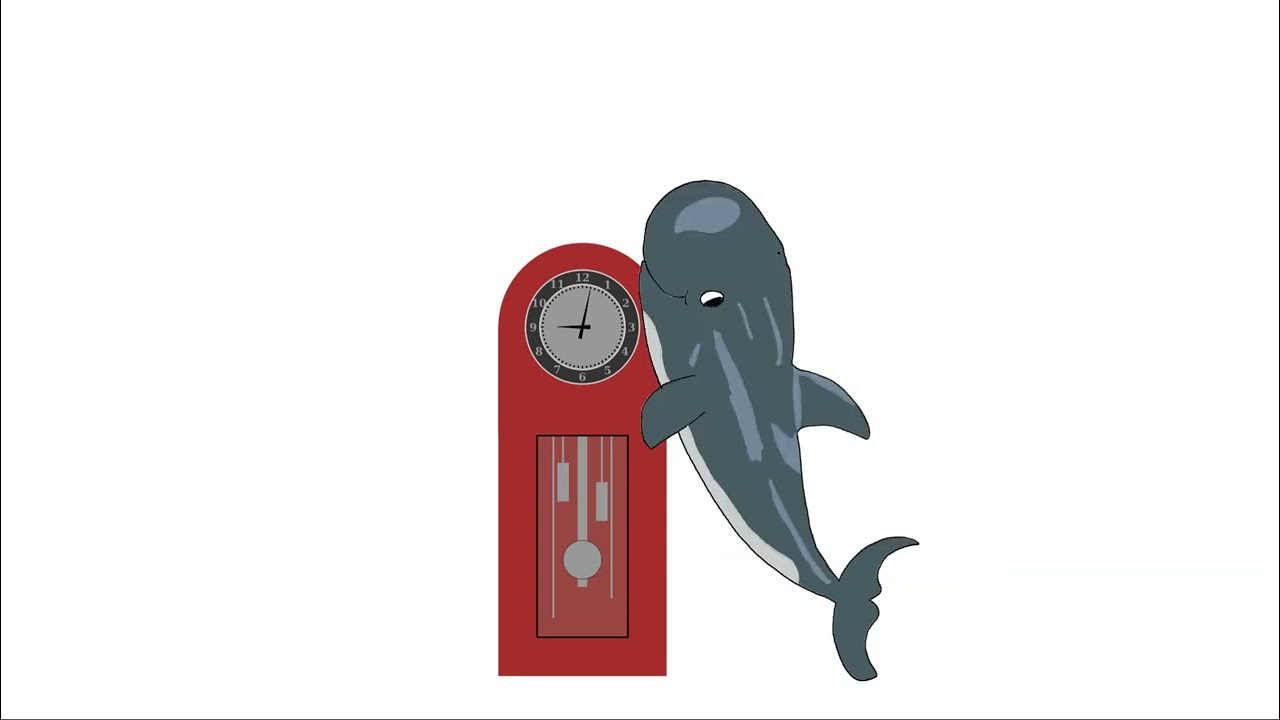 HDD Cetaceans