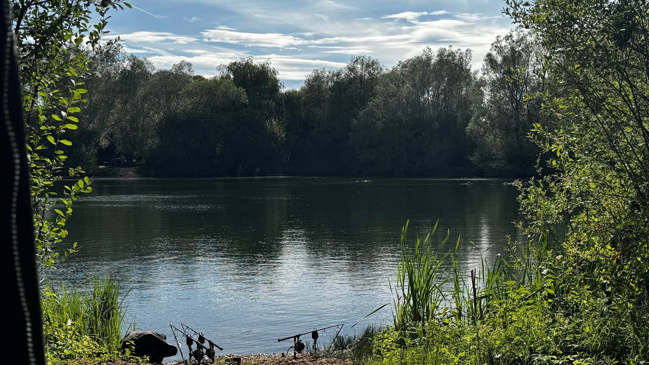 syndicate series linear guys syndicate part 3