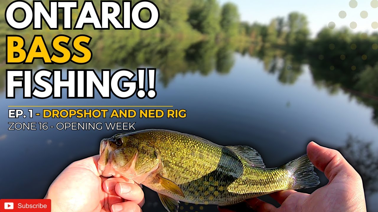 SHORE FISHING For LARGEMOUTH BASS in Urban Ontario Lakes!!