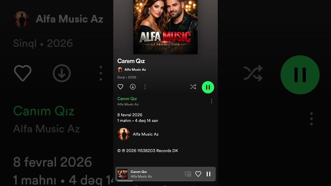 Spotify: Alfa Music Az