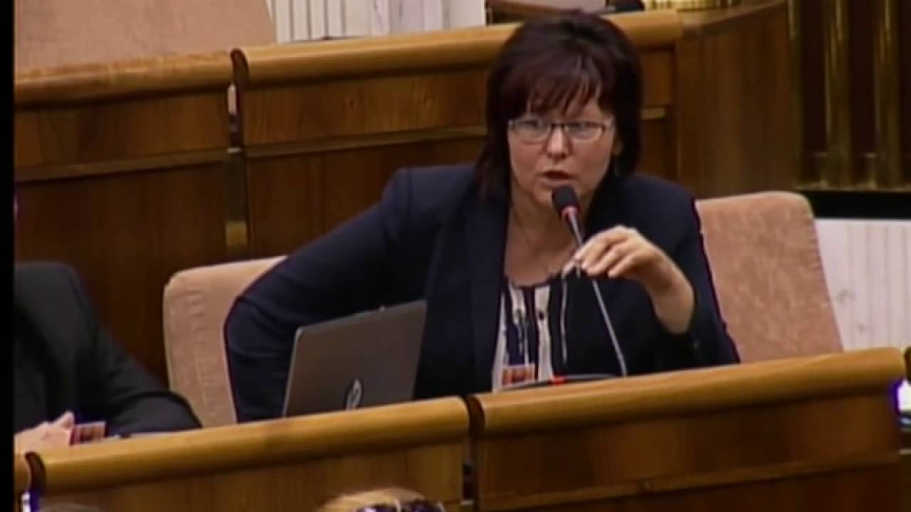 Chceme, aby poslanec mohol robiť individu&aacute;lne poslaneck&eacute; kontroly
