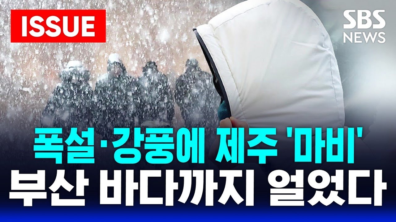[🔴이슈] '활주로 중단' 폭설 직격탄 맞은 제주항공 정상화.. 전국 강추위 '기승' | SBS 이슈라이브