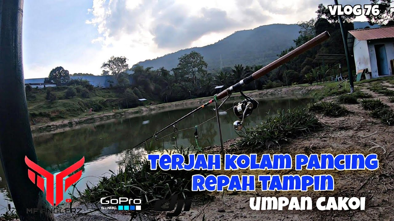 TERJAH KOLAM PANCING REPAH TAMPIN | UMPAN CAKOI | PATIN HUNTER  #VLOG76