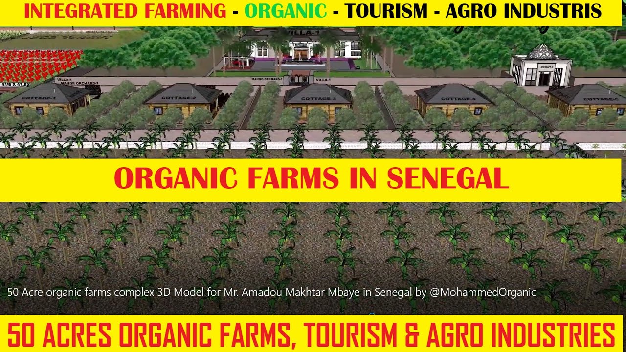 50 ACRES ORGANIC FARM AGROTOURISM AND AGRO INDUSTRIS COMPLEX IN SENEGAL 3D MODEL #organic #ifs