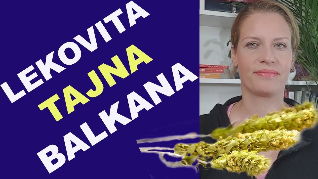 Šarplaninski - Grčki planinski čaj - lekovita tajna Balkana / dr Bojana Mandić