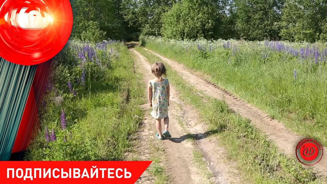 ТАКИЕ МИЛАШКИ. В Браславском районе пропала трёхлетняя девочка