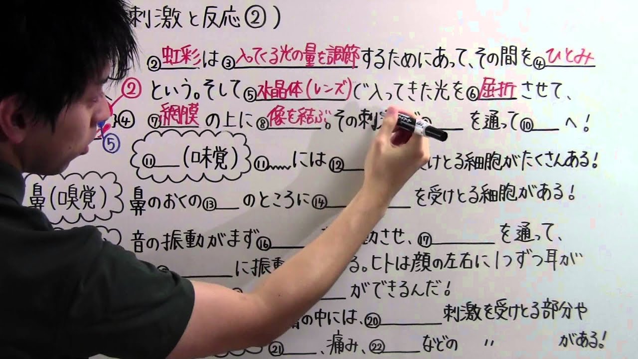 【理科】中2-26 刺激と反応②