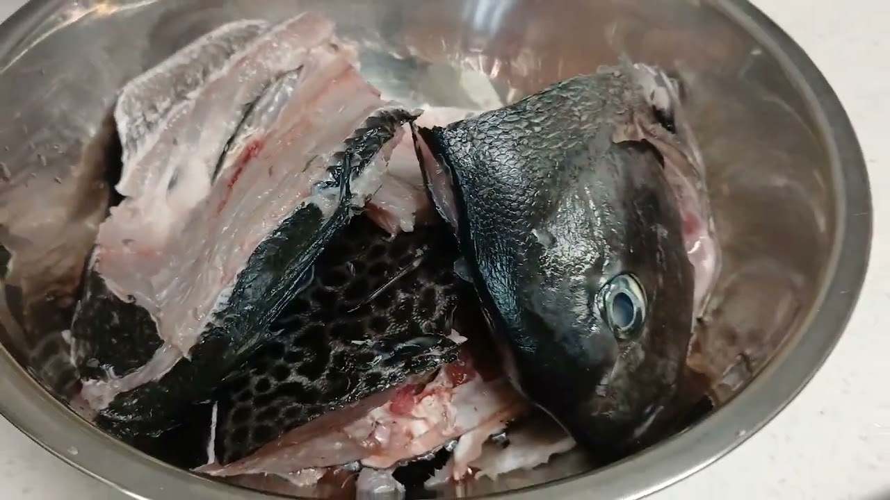 긴꼬리뱅어돔 회국수