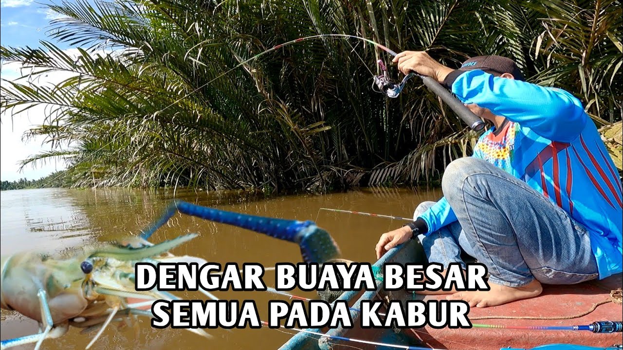 Gerombolan udang galah disungai kecil | mancing udang galah