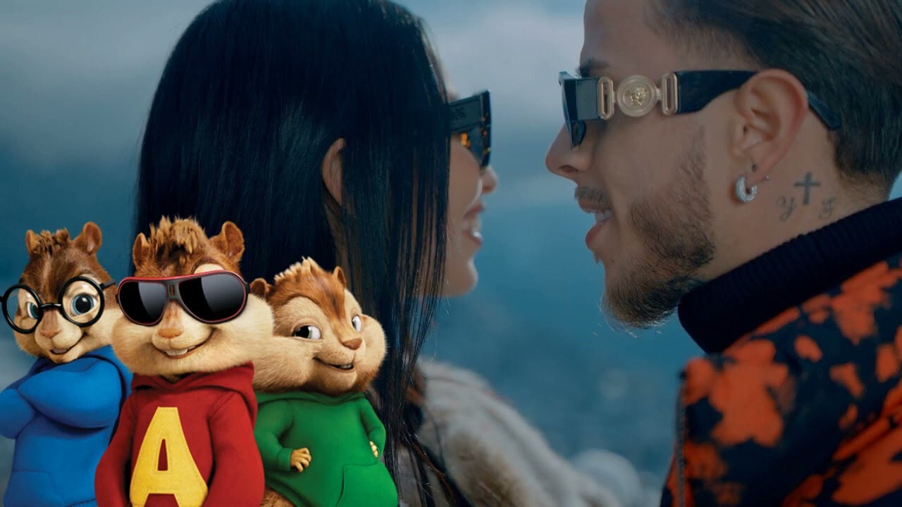 Chipmunks 😂 / Yanns - Ma Belle