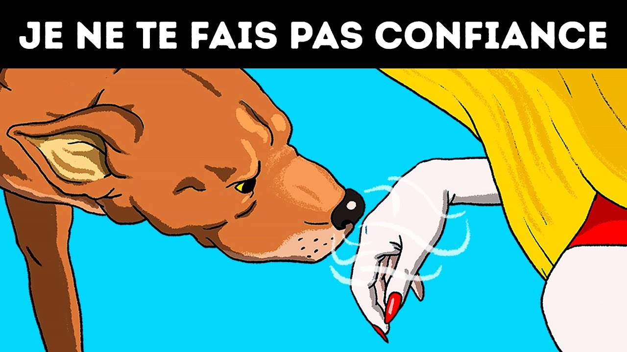 Les Scientifiques Affirment Que Les Chiens Sentent Les Mauvaises Personnes