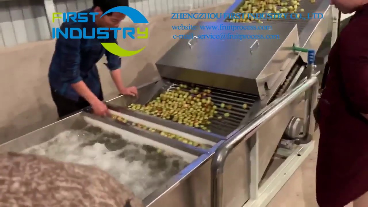 fresh jujube processing plant， dates washing drying sorting line