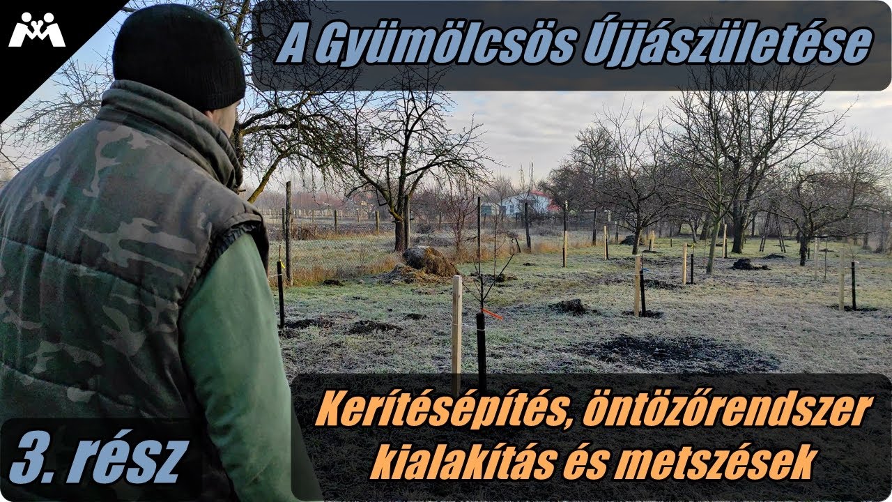 Kerítésépítés, öntözőrendszer kialakítás és metszések - A Gyümölcsös Újjászületése (3. rész)
