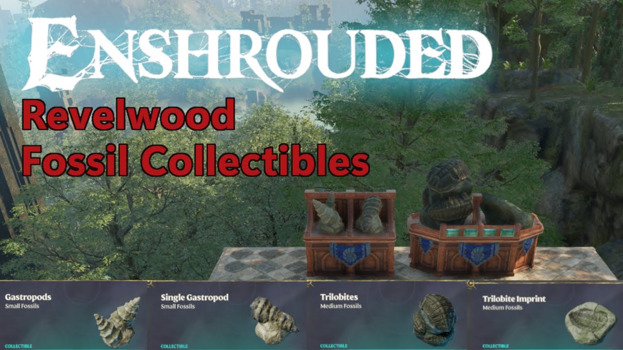 Enshrouded - Revelwood Fossil Collectible Locations