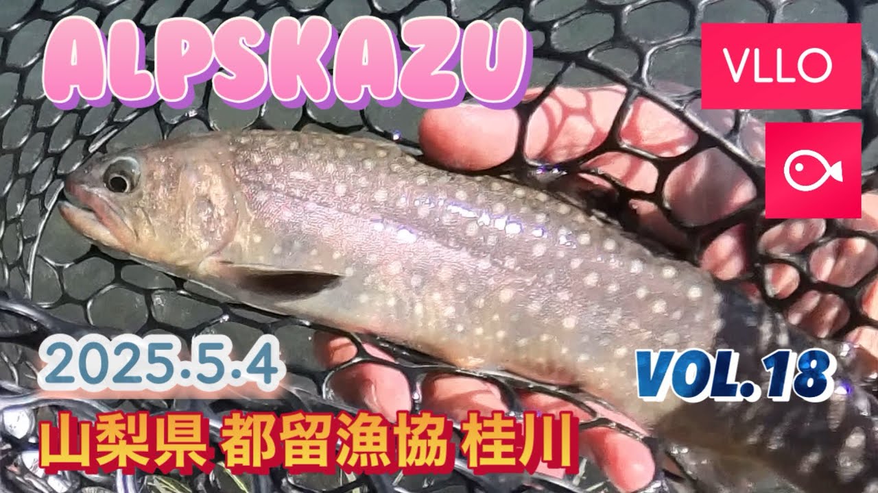 2025年5月4日 山梨県 都留漁協 桂川　insta360X4