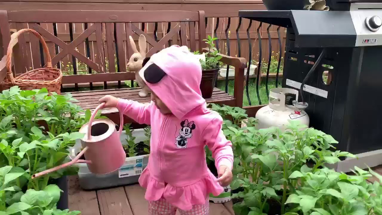 My little garden helper