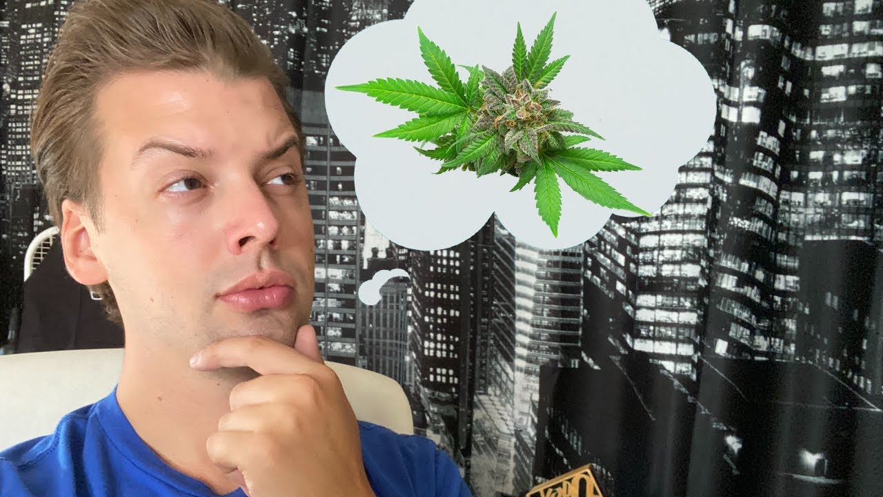 True Buds TV Live Brainstorm And Smoke Session