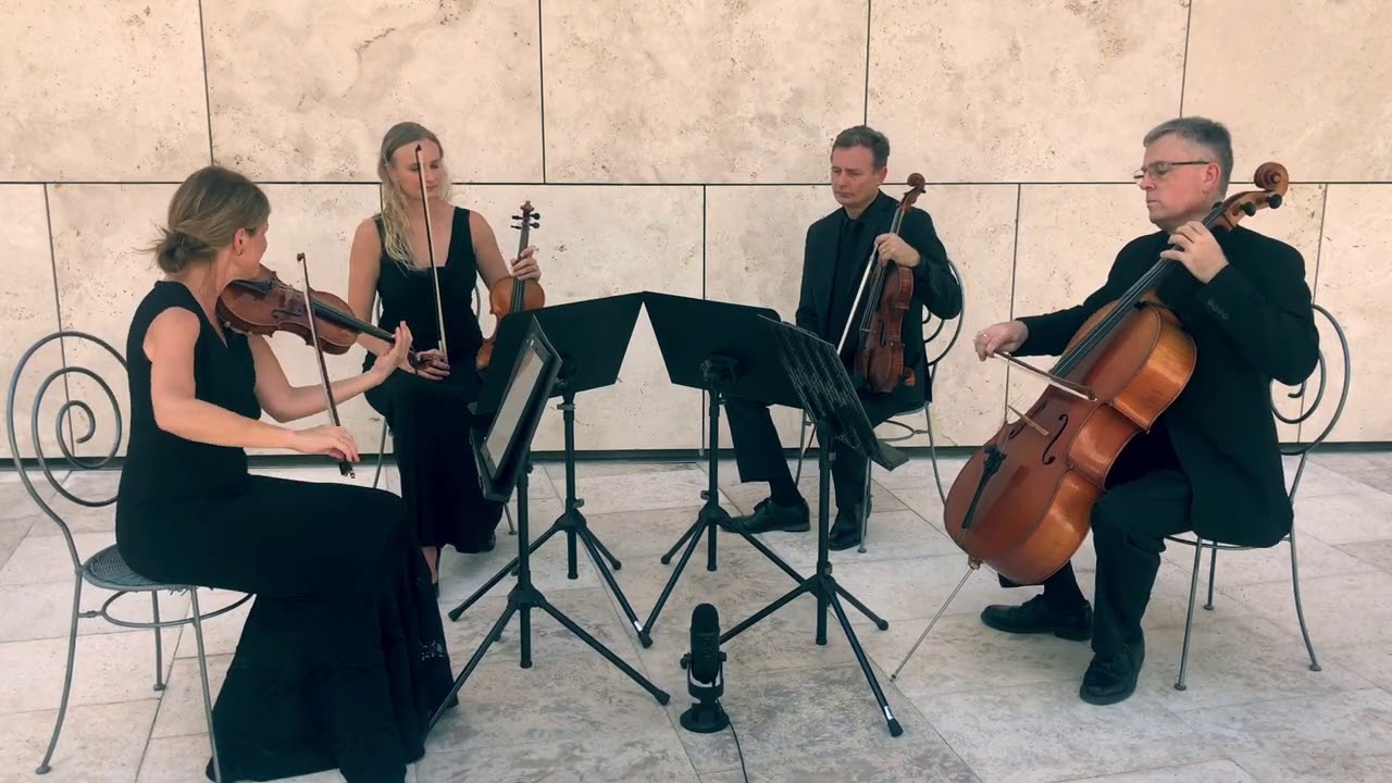 Solo, duo, trio, or quartet?