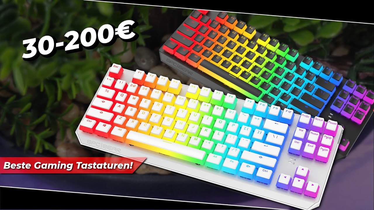 Die Besten Mechanischen Gaming Tastaturen, TKL und Full Size, in jeder Preisklasse! | Kaufberatung